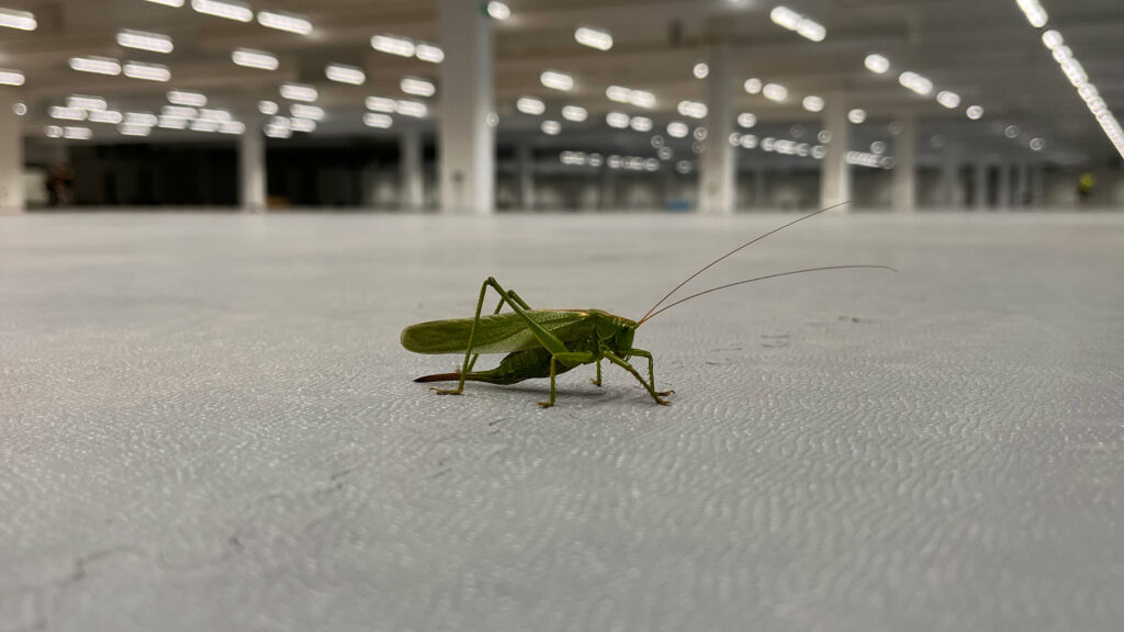 Production hall, Czech Republic